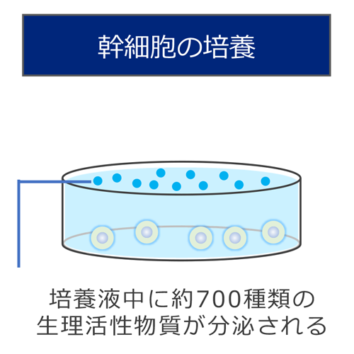 幹細胞培養上清液の生成2